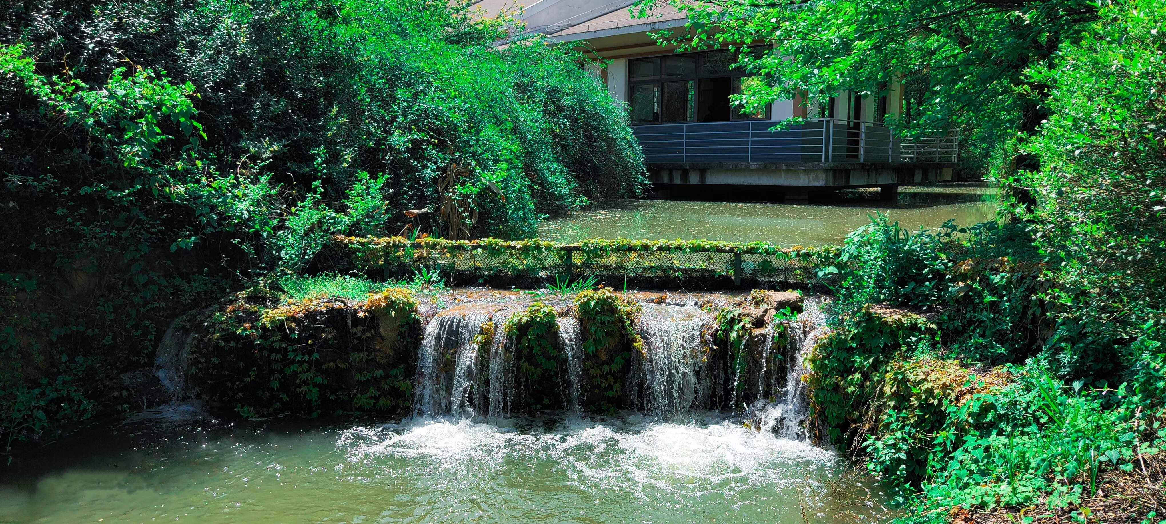 1676605589920114.jpg a007117bd61f927f5d9db22214af214.jpg